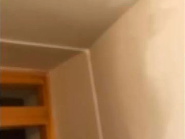finesta